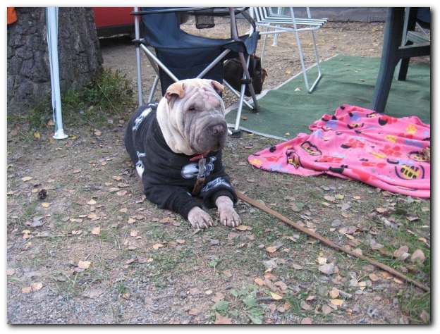 624x474 pixels (56K)